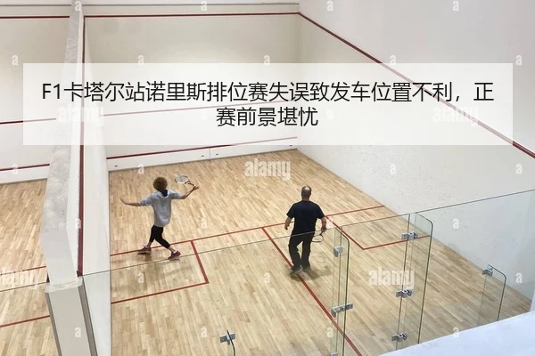 ka-ta-er-zhan-nuo-li-si-pai-wei-sai-shi-wu-zhi-fa-che-wei-zhi-bu-li-zheng-sai-qian-jing-kan-you-2-448.jpg